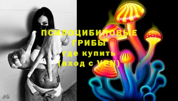 spice Беломорск