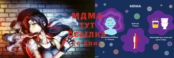 прущие грибы Дубовка