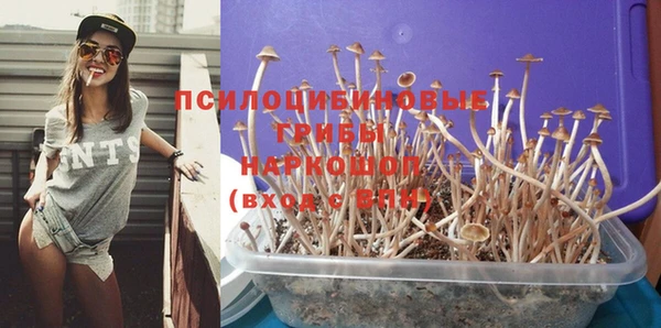 спиды Белокуриха