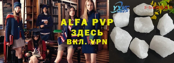 спиды Белокуриха