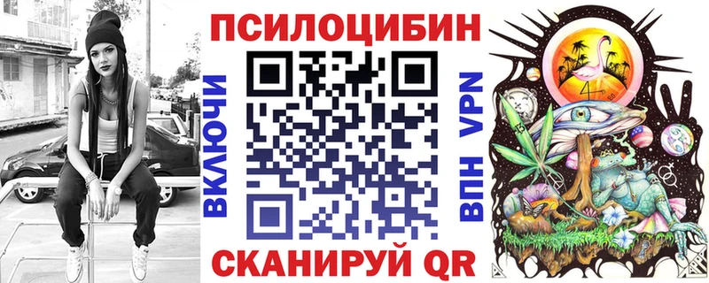 где можно купить Гороховец omg сайт Галлюциногенные грибы мицелий